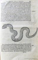 c. NNn1r: Serpente (70x130 mm)